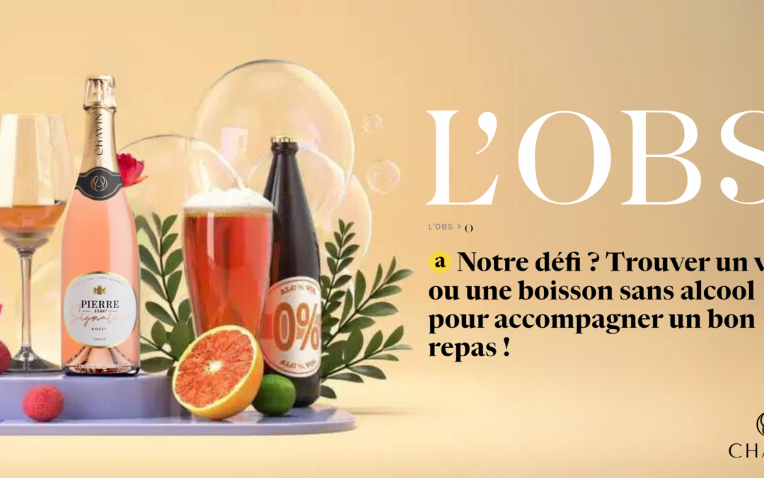 Pierre Zéro Signature sélectionné par L&rsquo;Obs