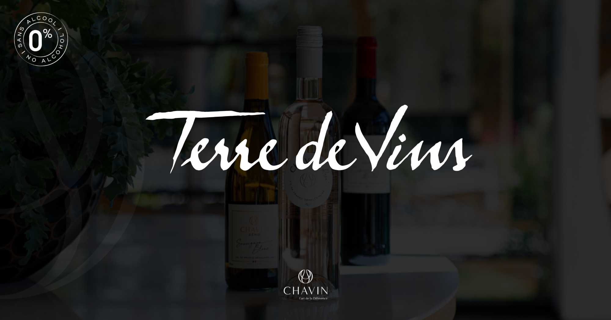 Chavin - Terre de Vins explore les chiffres derrière le Dry January et le succès des vins sans alcool