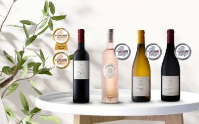 Chavin Zéro Triumphs at the Mundus Vini 2025 Competition