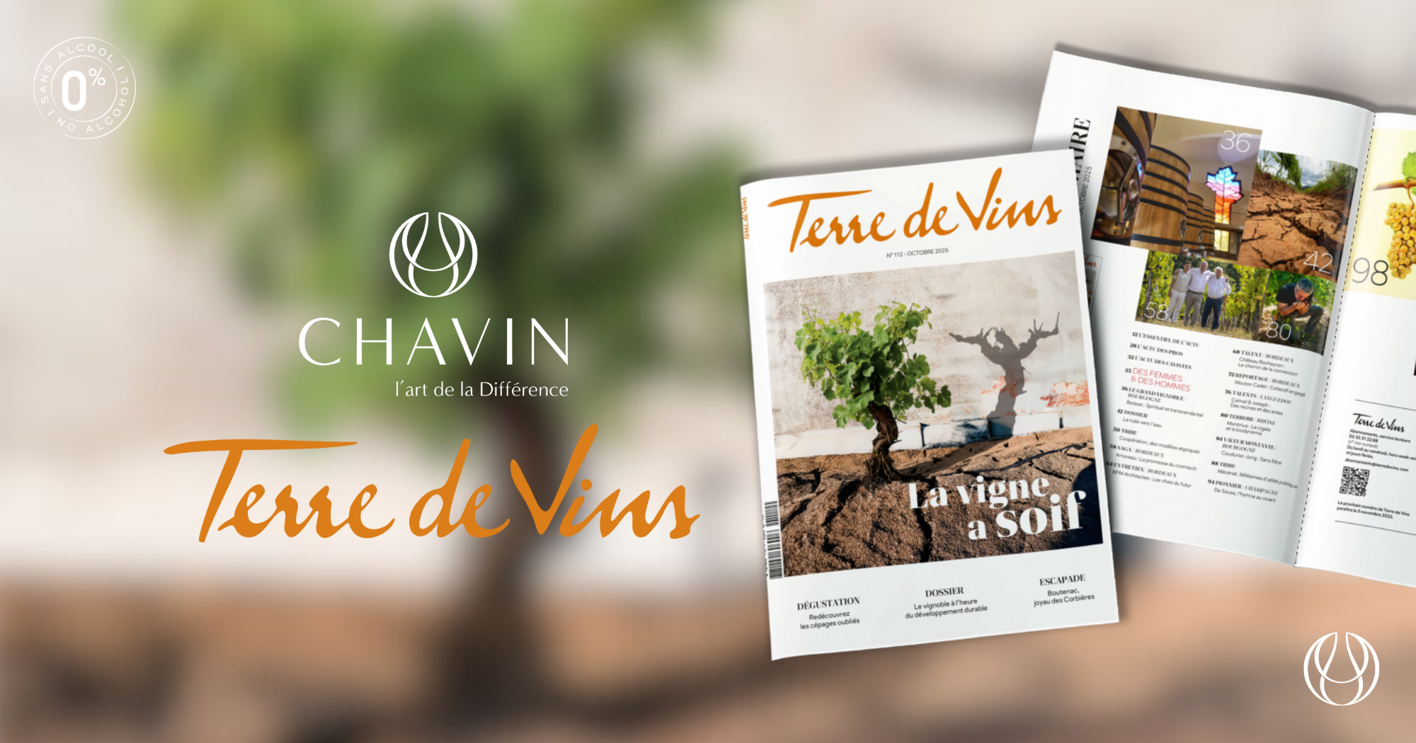 Chavin - CHAVIN à l’honneur dans Terres de Vins